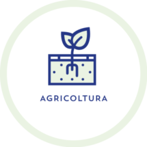 agricoltura