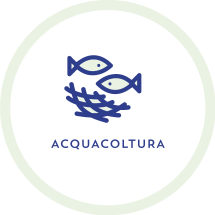 acquacoltura